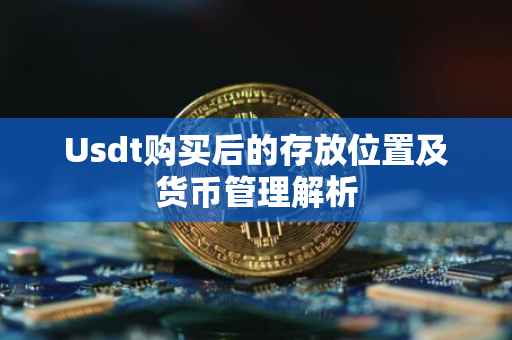 Usdt购买后的存放位置及货币管理解析