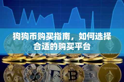 狗狗币购买指南，如何选择合适的购买平台