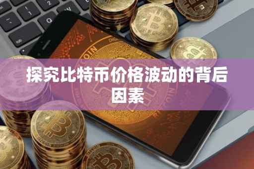 探究比特币价格波动的背后因素