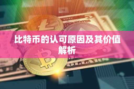 比特币的认可原因及其价值解析