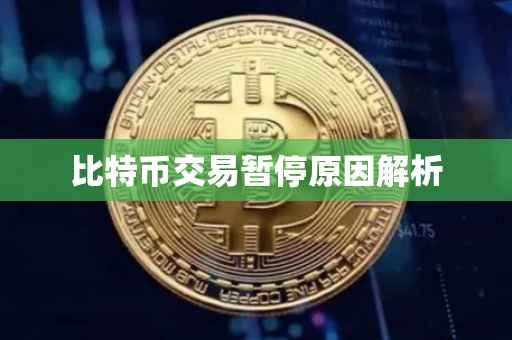 比特币交易暂停原因解析