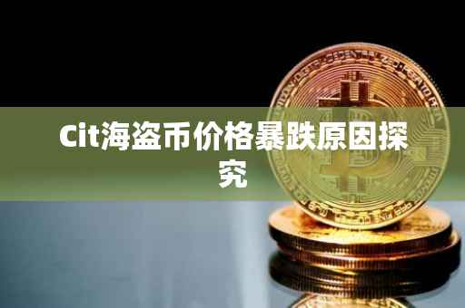 Cit海盗币价格暴跌原因探究