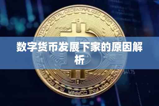 数字货币发展下家的原因解析