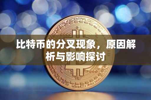 比特币的分叉现象，原因解析与影响探讨