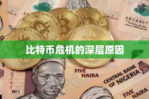 比特币危机的深层原因