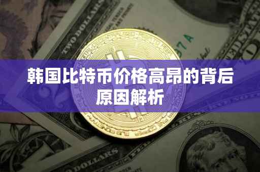 韩国比特币价格高昂的背后原因解析