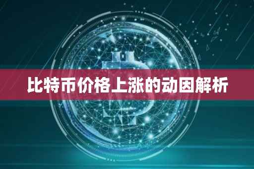 比特币价格上涨的动因解析