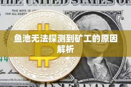 鱼池无法探测到矿工的原因解析