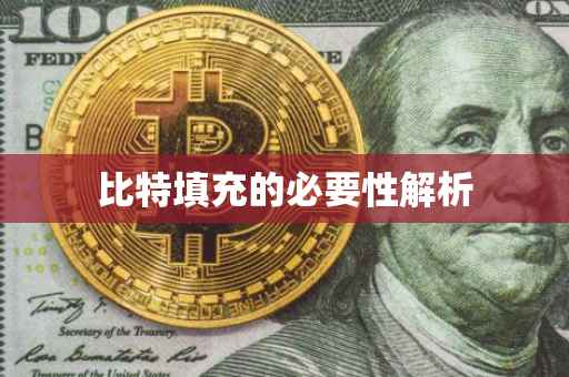 比特填充的必要性解析