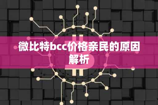微比特bcc价格亲民的原因解析