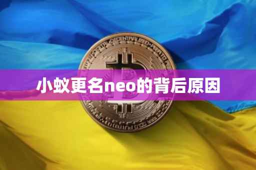 小蚁更名neo的背后原因