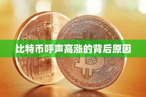 比特币呼声高涨的背后原因