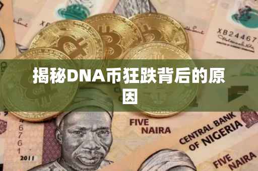 揭秘DNA币狂跌背后的原因