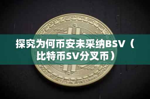 探究为何币安未采纳BSV（比特币SV分叉币）
