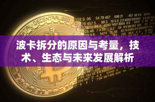 波卡拆分的原因与考量，技术、生态与未来发展解析