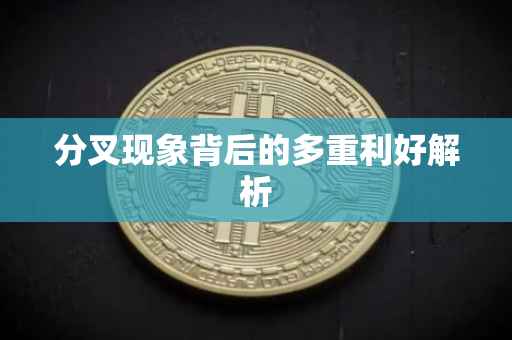 分叉现象背后的多重利好解析