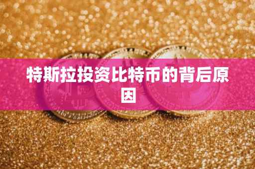 特斯拉投资比特币的背后原因