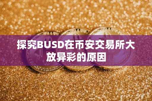 探究BUSD在币安交易所大放异彩的原因