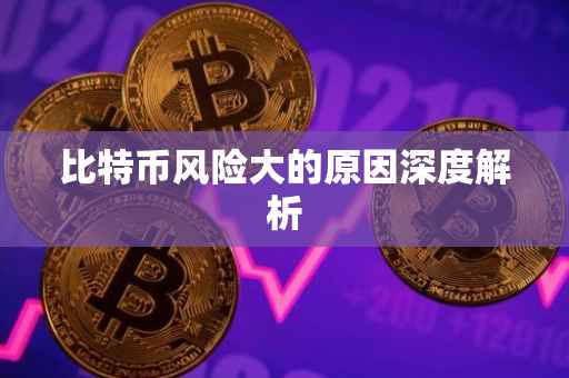 比特币风险大的原因深度解析