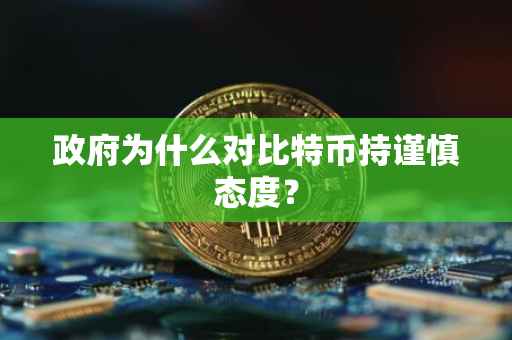 政府为什么对比特币持谨慎态度？