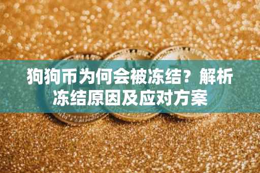 狗狗币为何会被冻结？解析冻结原因及应对方案