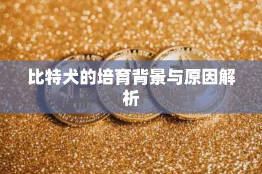 比特犬的培育背景与原因解析