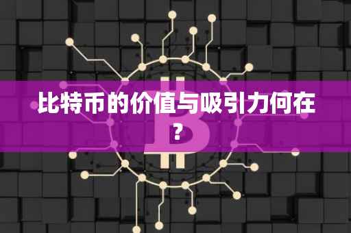 比特币的价值与吸引力何在？