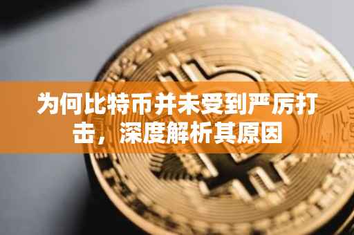 为何比特币并未受到严厉打击，深度解析其原因