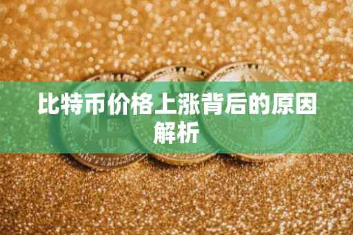 比特币价格上涨背后的原因解析
