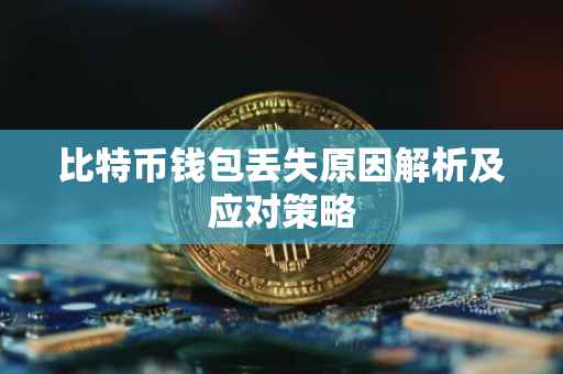 比特币钱包丢失原因解析及应对策略