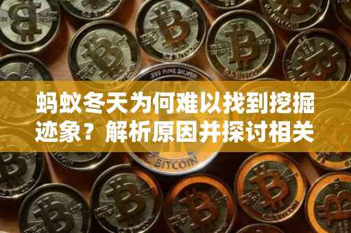 蚂蚁冬天为何难以找到挖掘迹象？解析原因并探讨相关疑问