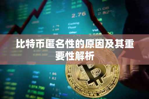 比特币匿名性的原因及其重要性解析