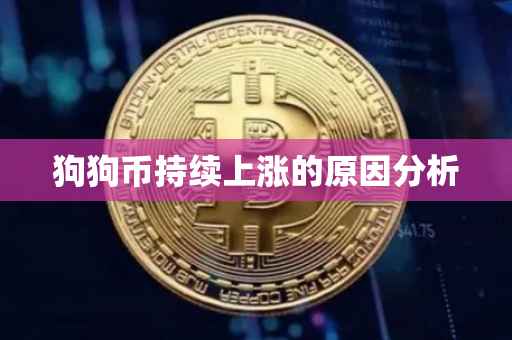 狗狗币持续上涨的原因分析