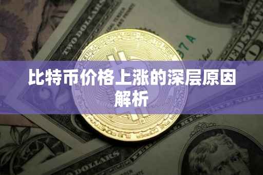 比特币价格上涨的深层原因解析