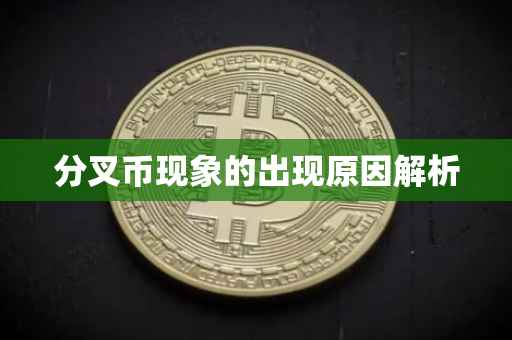 分叉币现象的出现原因解析