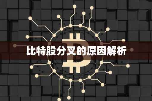 比特股分叉的原因解析