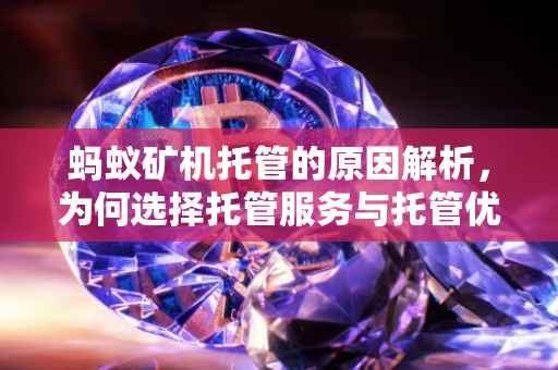 蚂蚁矿机托管的原因解析,为何选择托管服务与托管优势何在?
