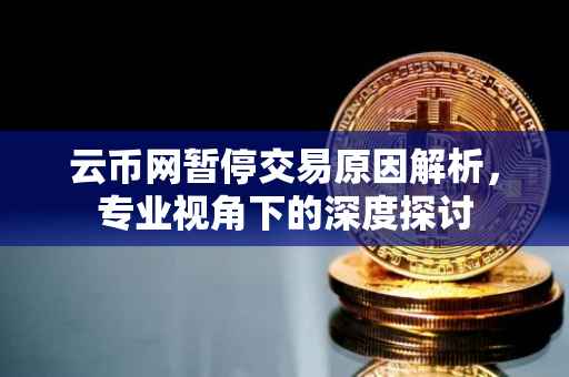 云币网暂停交易原因解析，专业视角下的深度探讨