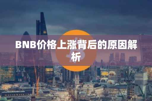 BNB价格上涨背后的原因解析