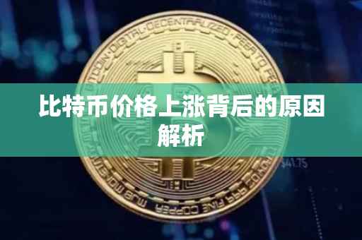 比特币价格上涨背后的原因解析