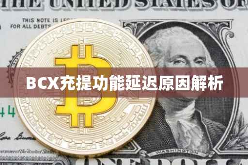 BCX充提功能延迟原因解析
