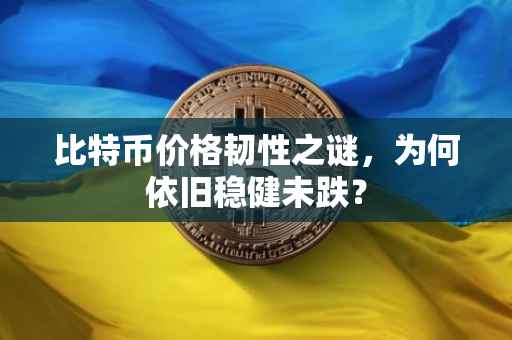 比特币价格韧性之谜,为何依旧稳健未跌?