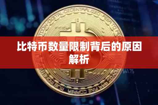 比特币数量限制背后的原因解析