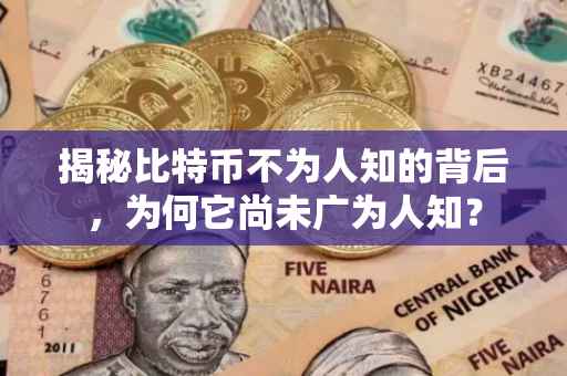 揭秘比特币不为人知的背后，为何它尚未广为人知？