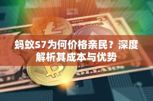 蚂蚁S7为何价格亲民？深度解析其成本与优势