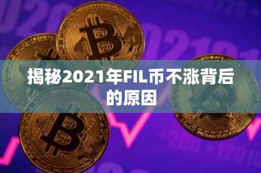 揭秘2021年FIL币不涨背后的原因