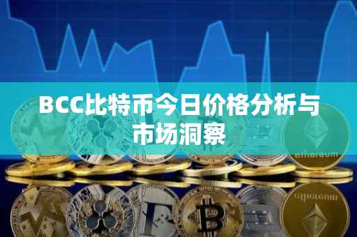 BCC比特币今日价格分析与市场洞察