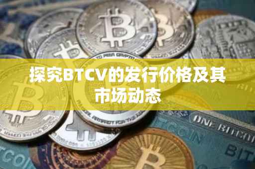 探究BTCV的发行价格及其市场动态