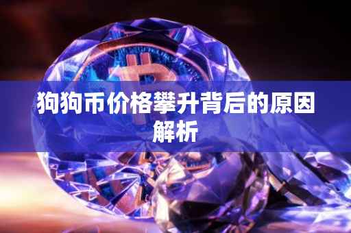狗狗币价格攀升背后的原因解析