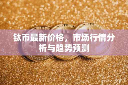 钛币最新价格，市场行情分析与趋势预测